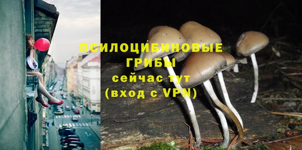 первитин Горняк