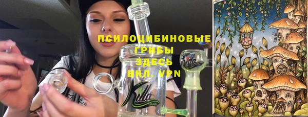 соль курить ск Горно-Алтайск